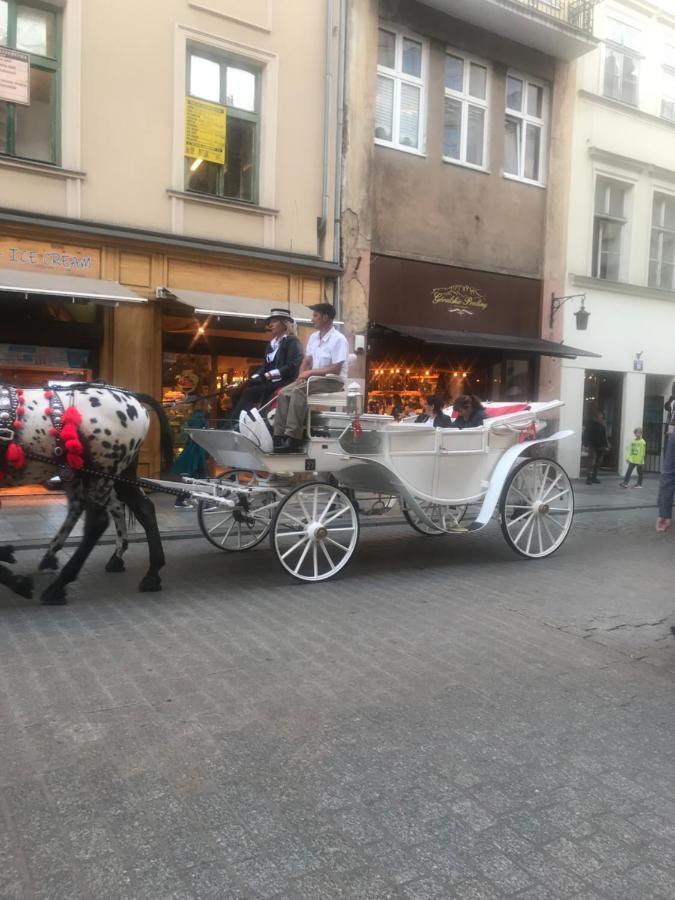Filin Apartment Krakkó Kültér fotó